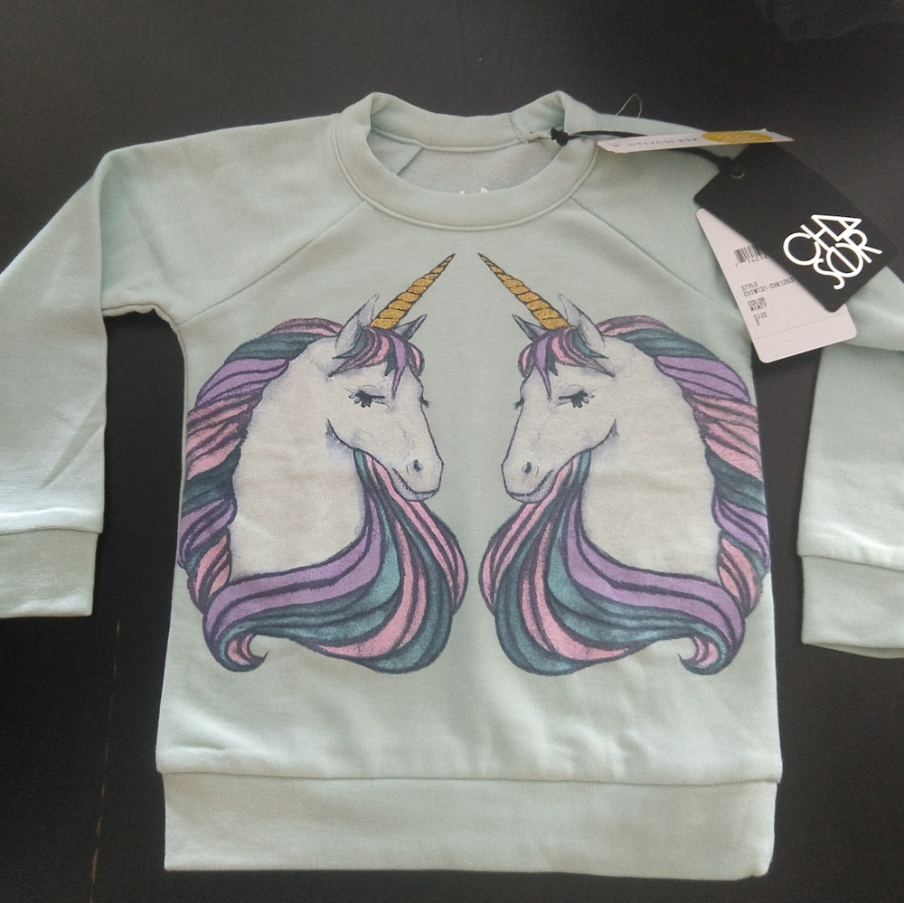 Chaser - Abriana Graphic Pullover